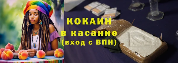 шишки Богданович