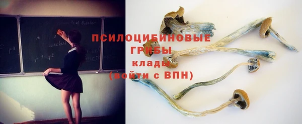 шишки Богданович