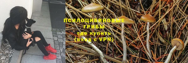 шишки Богданович