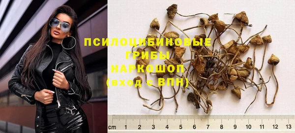 амф Белокуриха