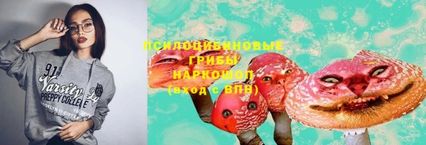 шишки Богданович