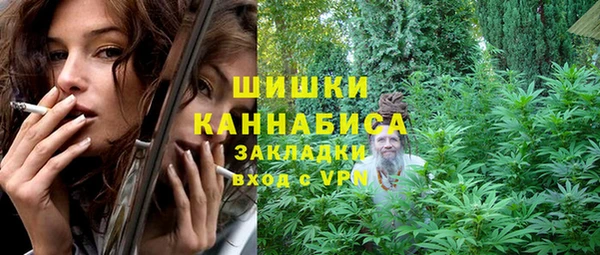 шишки Богданович